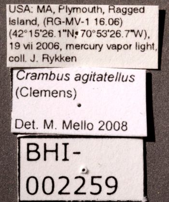 Media type: image;   Entomology 622205 Aspect: labels